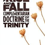 Christian Theology eBook Cascade Books - Gender Insight Kindle-0