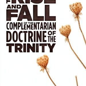 Christian Theology eBook Cascade Books - Gender Insight Kindle-0
