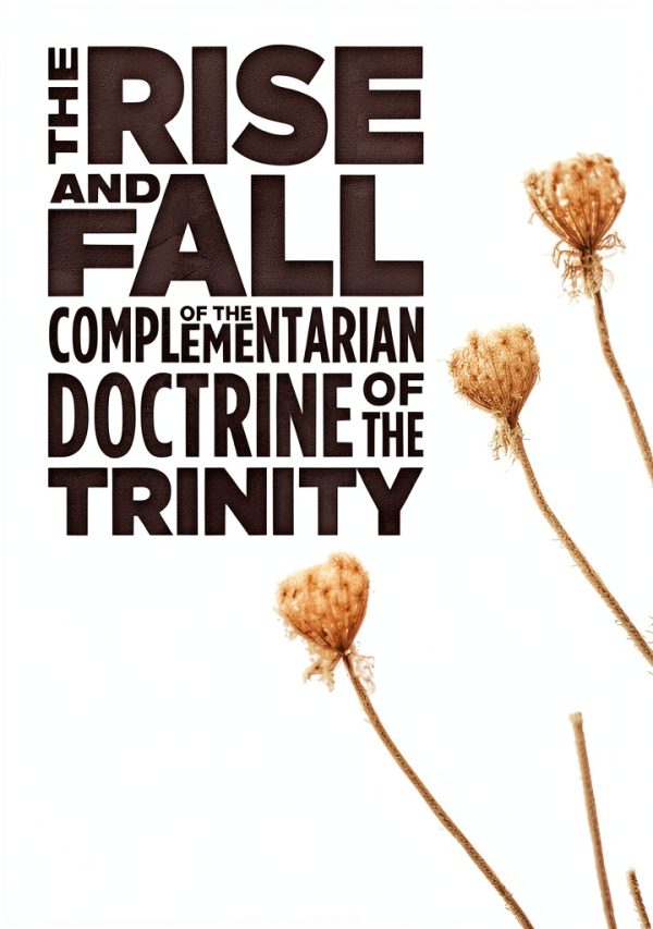 Christian Theology eBook Cascade Books - Gender Insight Kindle-0